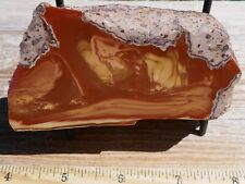 TCR BRUNEAU JASPER/AGATE/LAPIDARY POLISHED HALF 287 GRAMS picture