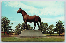 Lexington KY-Kentucky, Man O'War Bronze Horse Statue, Vintage Antique Postcard picture