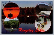 Rangeley Lakes Maine Umbagog Kennebago Fishing Sled Dog Racing Postcard Vtg B1 picture