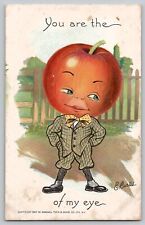 Valentine TUCK's Garden Patch Apple Head Series 2 Vtg Fantasy Postcard E Curtis picture