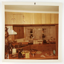Creepy Peering Window Creature Photo 1960s Still Life Kitchen Sink D899 picture