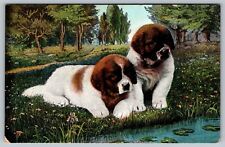 Vintage St Saint Bernard Puppies Postcard - M2 picture