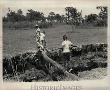 1969 Press Photo Kids crossing a makeshift bridge during Send-A-Kid-To-Camp day picture