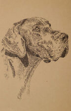 GREAT DANE DOG ART Signed Kline Print Edition #54 Your dogs name added free GIFT picture