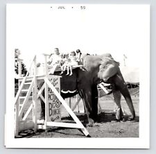 c1950s Kids & Family~Big Blanche~Circus Elephant~Baraboo WI~Vintage Photo picture