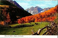 Maroon Bells Aspen Colorado Fall Autumn Mountains Cows Snow Postcard Vintage picture