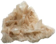 Selenite - Crystal Cluster Display Specimen - 3209 grams - SEL016 picture
