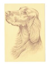 Vin Postcards Over-sized(1) Dog etching NO Card # Unposted. (#355) picture