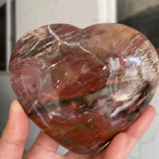441g Natural Petrified Wood Heart Crystal Quartz Healing Reiki picture