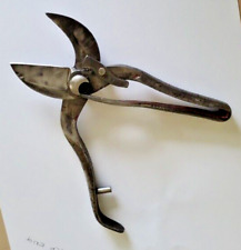 Very Rare 1800s Ward & Payne Parrot Head Secateurs Usable Collectors Tool picture