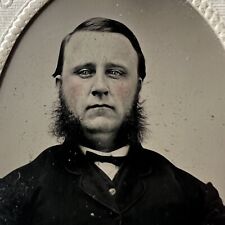 Antique Tintype Photograph Dapper Distinguished Man Wild Fluffy Mutton Chops picture