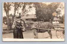Well-Dressed Woman Petting Cute Donkey RPPC Upland California Photo 1913 picture