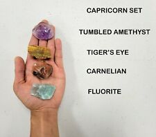 Crystals for Capricorn Zodiac Sign, Amethyst, Tigers Eye, Carnelian, Fluorite picture