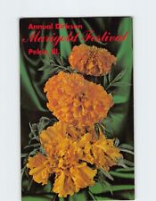 Postcard Annual Dirksen Marigold Festival Pekin Illinois USA picture