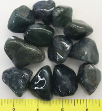 AGATE MOSS X-Large (1-1/4-2