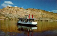 Postcard Scenic View Desert Bell Excursion Boat Saguaro Lake Arizona AZ     7339 picture