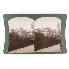 Flagler College St Augustine Stereoview c1902 Florida Palm Trees Photo A1900 picture