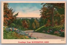Postcard Greetings From Bowerston Ohio *C8459 picture