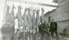 NX262 Vtg Photo MEN, DEER HUNTERS, TROPHY, W/ THEIR HANGING KILL c Early 1900's picture