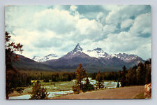 c1950s Chrome Postcard Pilot Peak WY Scenic Landsape View picture