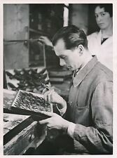 PARIS c. 1938 - Workshop of Mr. Eugène Le Moult Entomologiste Papillons - DIV 9620 picture