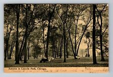 Chicago IL-Illinois, Autumn in Lincoln Park, c1906 Antique Vintage Postcard picture