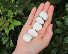 5 Scolecite Tumbled Stones (Crystal Healing Gemstone Scolecite Crystal) picture