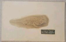 RPPC Texas Mexico Border Horned Toad Lizard Odd Unusual Postcard picture