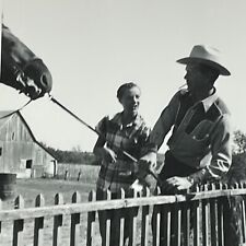 S2 Photograph Handsome Cowboy Leaning On Fence Horse Face Talking To Woman Barn picture