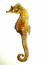 1 Vintage Real Natural Dried Seahorse Specimen Hippocampus Erectus Skeleton picture