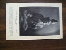 Vintage Lobby Card - Kuan Yin Buddhist Goddess of Mercy (Unused) - (295) picture