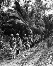 U.S. Marine `Raiders' and their dogs on Bougainville 8x10 WWII WW2 Photo 81 picture