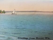 C 1938 Lake View Greetings From Mercer WI Fishing Should Be Good Here Postcard picture