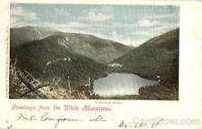 1905 Greetings From The White Mountains,NH New Hampshire Chisholm Bros. Postcard picture
