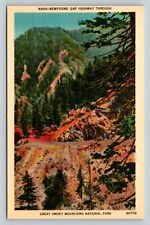Newfound Gap HWY Through Great Smoky Mountains National Park VINTAGE Postcard picture