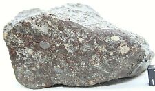 NEA 018 LL3 Primitive Chondrite Meteorite Rare, Type 3 Meteorite 691 Gram  picture