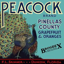 Pinellas County Duneded Fl Peacock Orange Fruit Crate Label Vintage Art Print picture