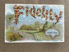 Postcard Language Of Flowers Wallflowers Fidelity Vintage 1909 Posted Watson IL picture