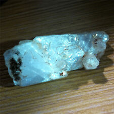 117g 81mm Rare Petroleum Quartz Natural Skeletal Quartz Crystal With Oil picture