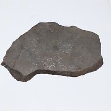 125 gram Unclassified NWA Meteorite Slice  A5199 picture