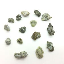 Trinity Alps Botryoidal Jade Stone Lot Green Nephrite Bubble Gem Specimen CA #7 picture