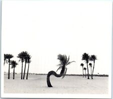 Postcard - Bernard Descamps: El Golea Sahara (1983) picture