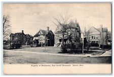c1905 Group Residence East Grand Boulevard Street Detroit Michigan MI Postcard picture