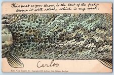Chicago Illinois IL Postcard Exaggerated Fish Huld Installment # 2 1907 Antique picture