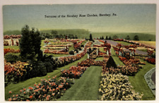 Terraces of the Hershey Rose Garden, PA Pennsylvania Vintage Linen Postcard picture