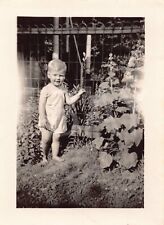 1930s Original Photo Baby Portrait In The Garden 1A5 picture