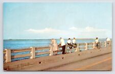 1950s~Melbourne Florida FL~Fishing off Bridge~Causeway~Indian River~VTG Postcard picture