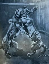 1901 Fighting Among Wild Animals Bears Buffalo Elk Tigers illustrated picture