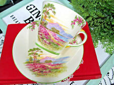 AYNSLEY tea cup and saucer yellow PINK meadow lane teacup England 1930s   picture