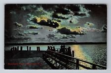 Chautauqua NY-New York, Moonlight on Point Chautauqua, Antique Vintage Postcard picture